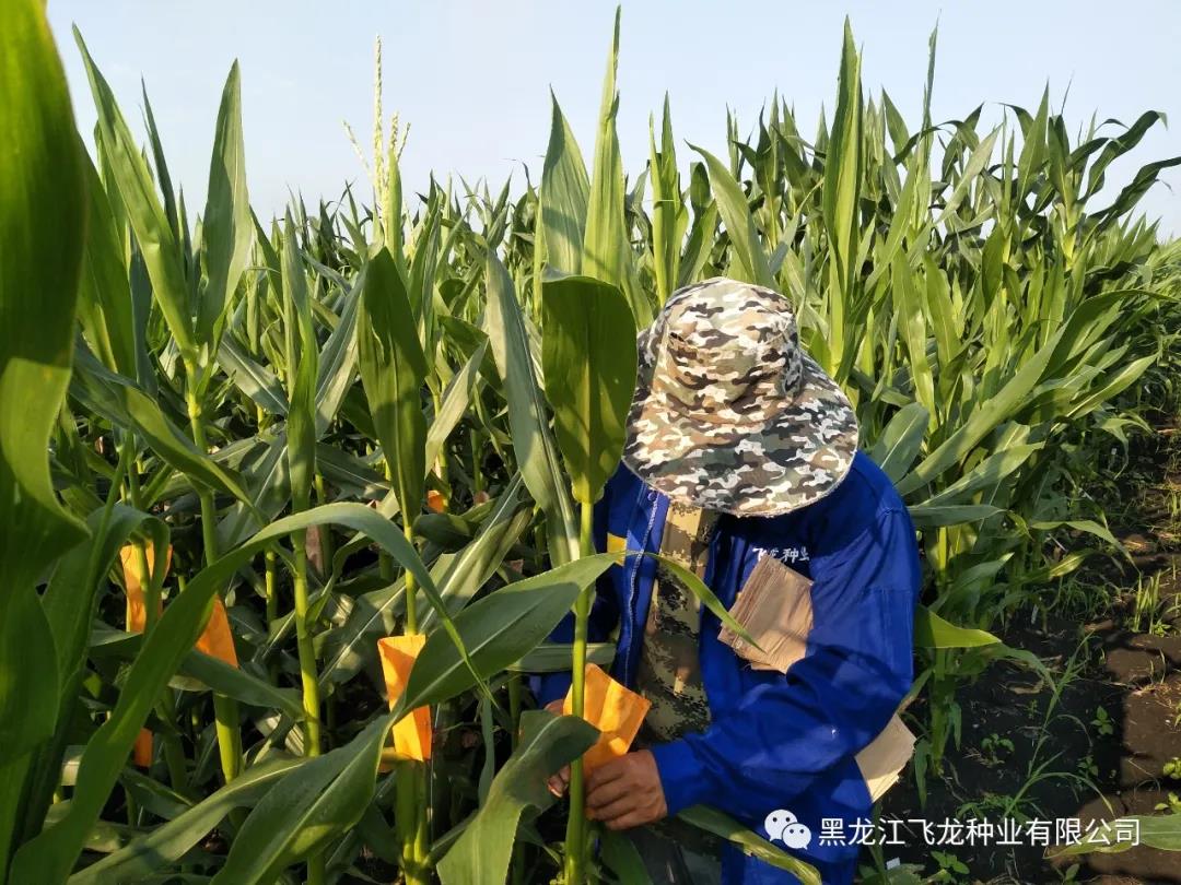 1640659421523266.jpg 4.jpg