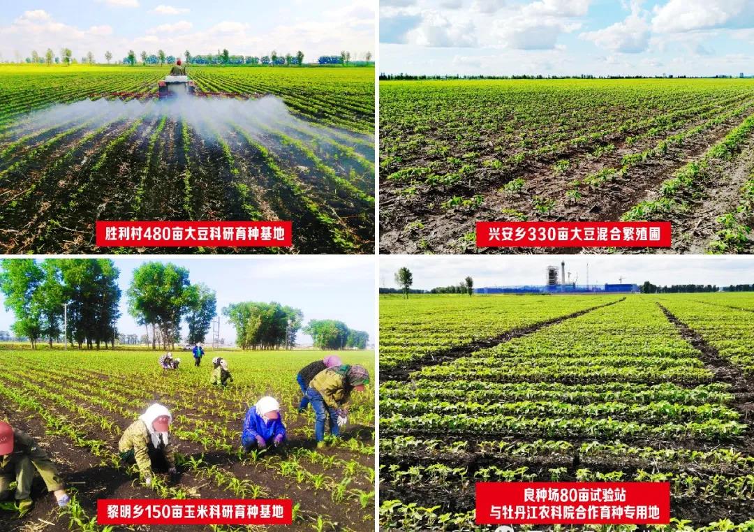 1640668667659978.jpg 3.jpg