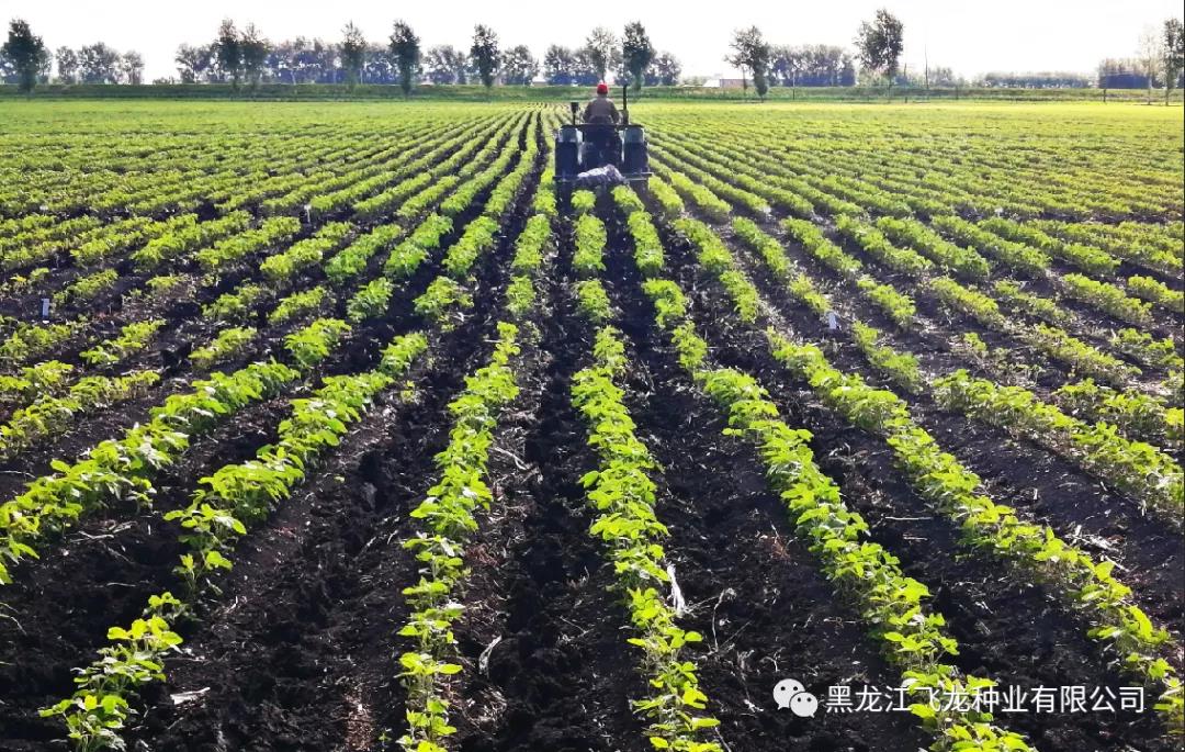 1640669049852803.jpg 23.jpg