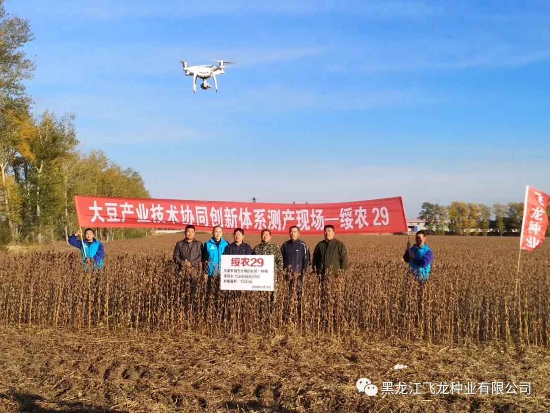 1640670174137860.jpg 15.jpg