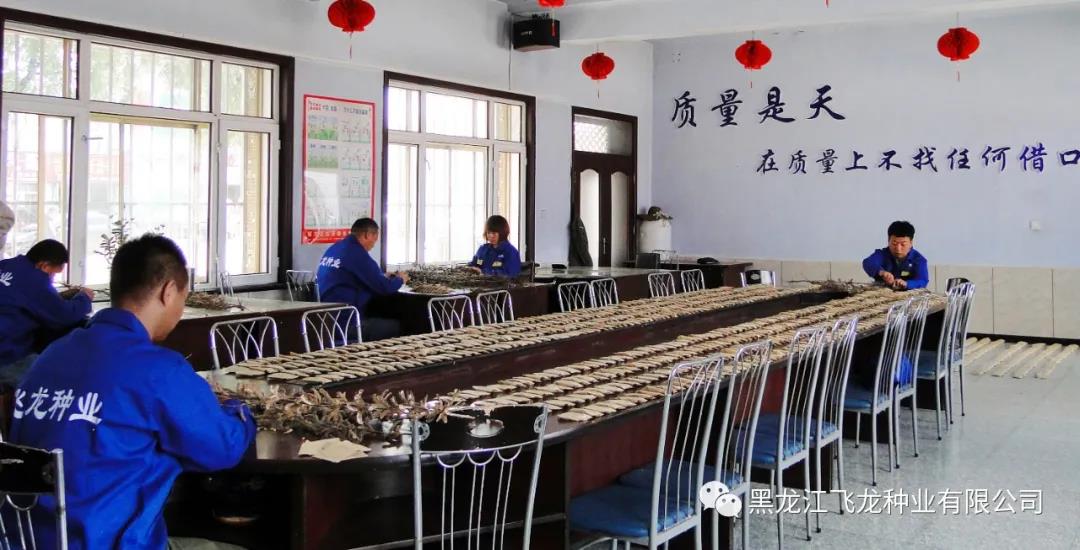 1640672110206552.jpg 4.jpg