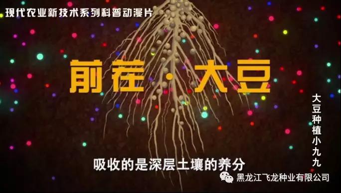 1640675621761963.jpg 2.jpg