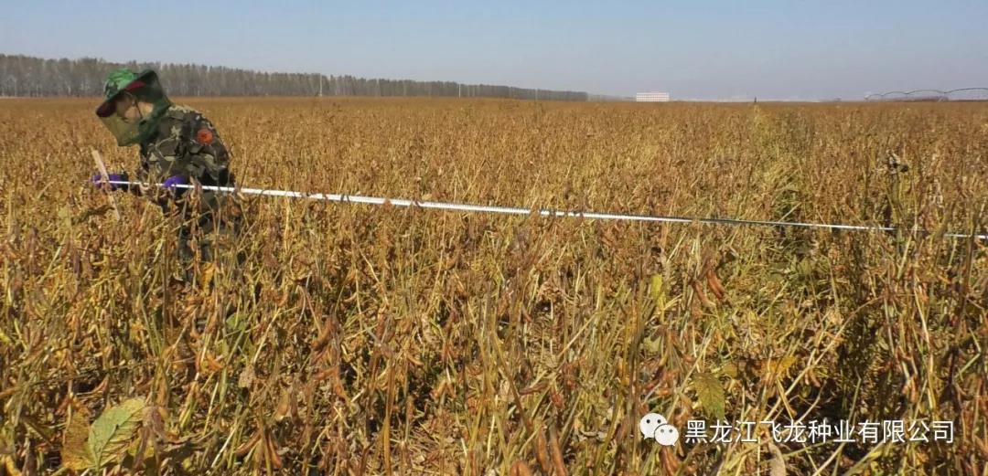 1640676788409232.jpg 7.jpg