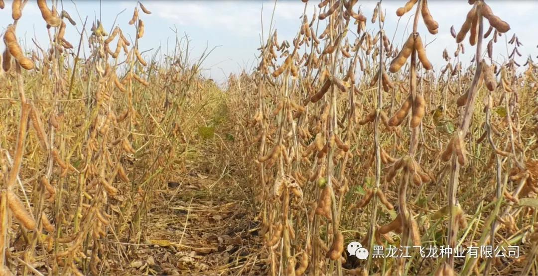 1640676878401314.jpg 0.jpg