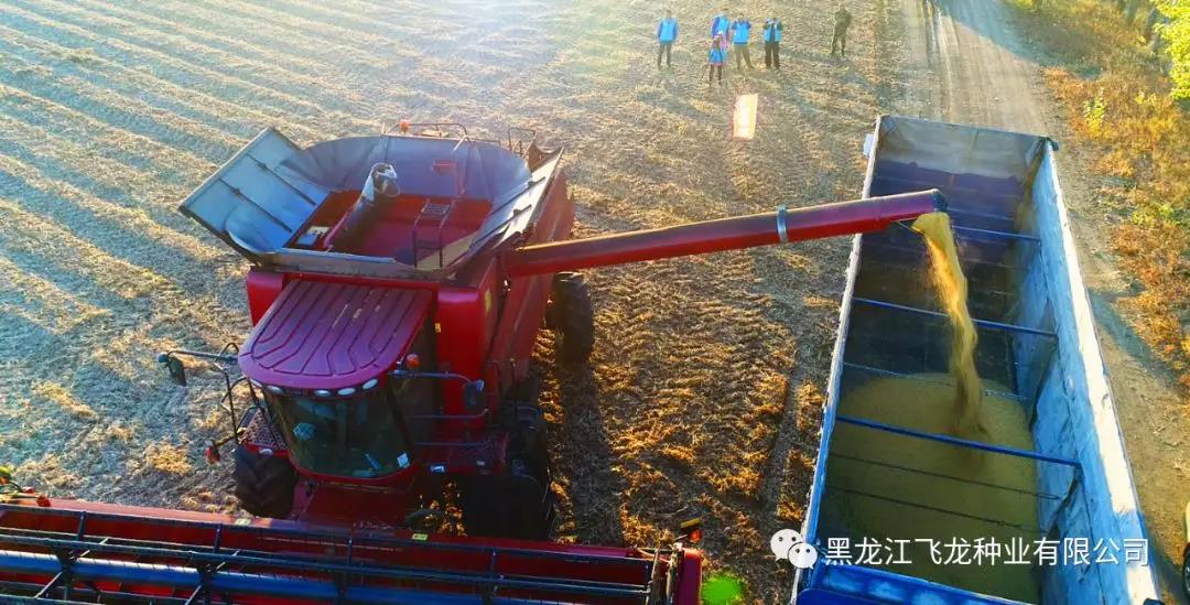 1640677033590869.jpg 1.jpg