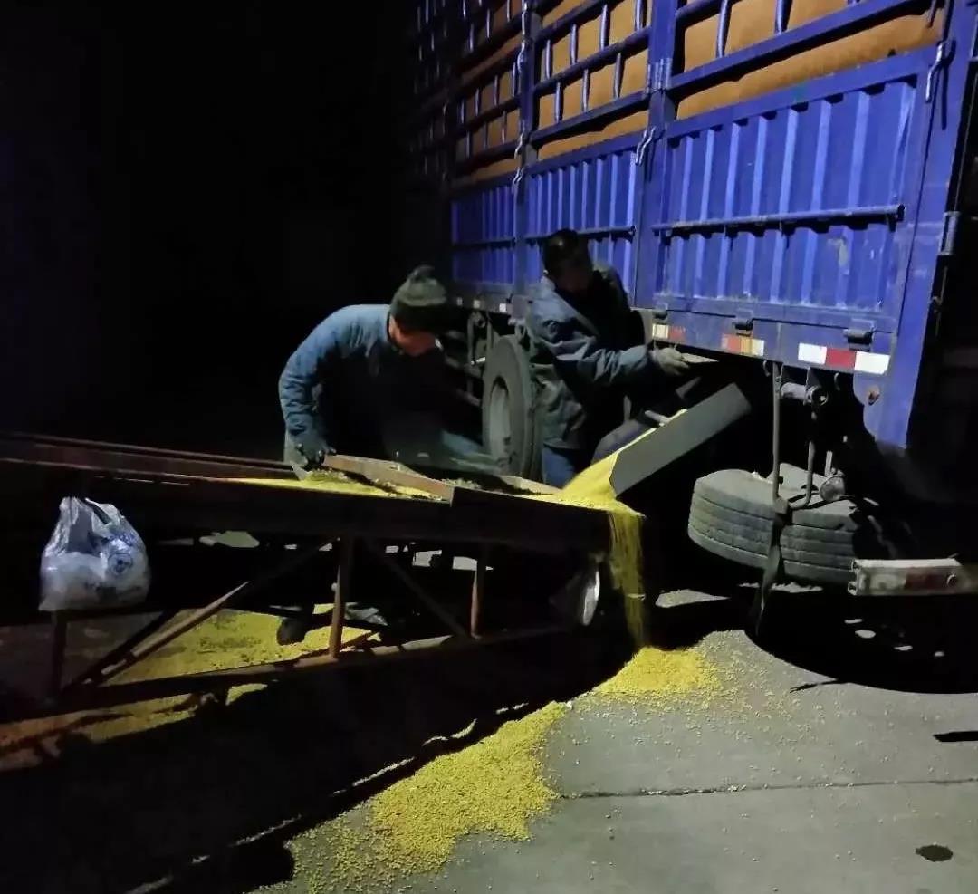 1640677253901042.jpg 10.jpg