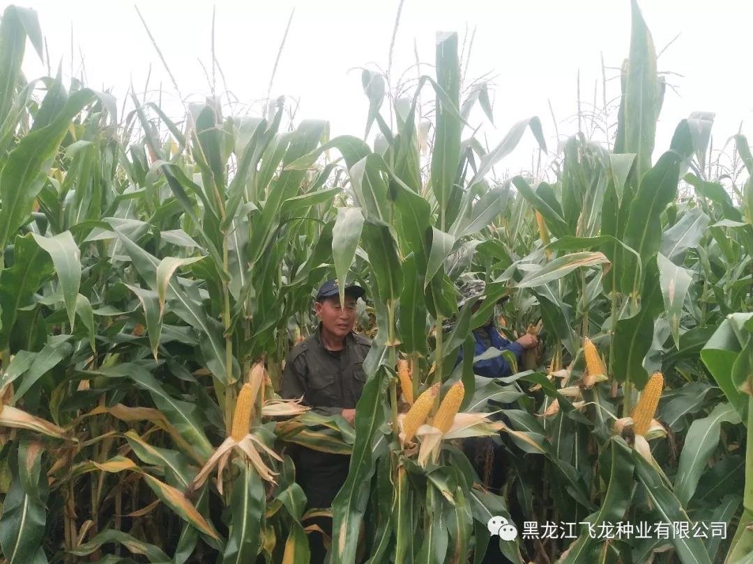 1640677554906679.jpg 2.jpg