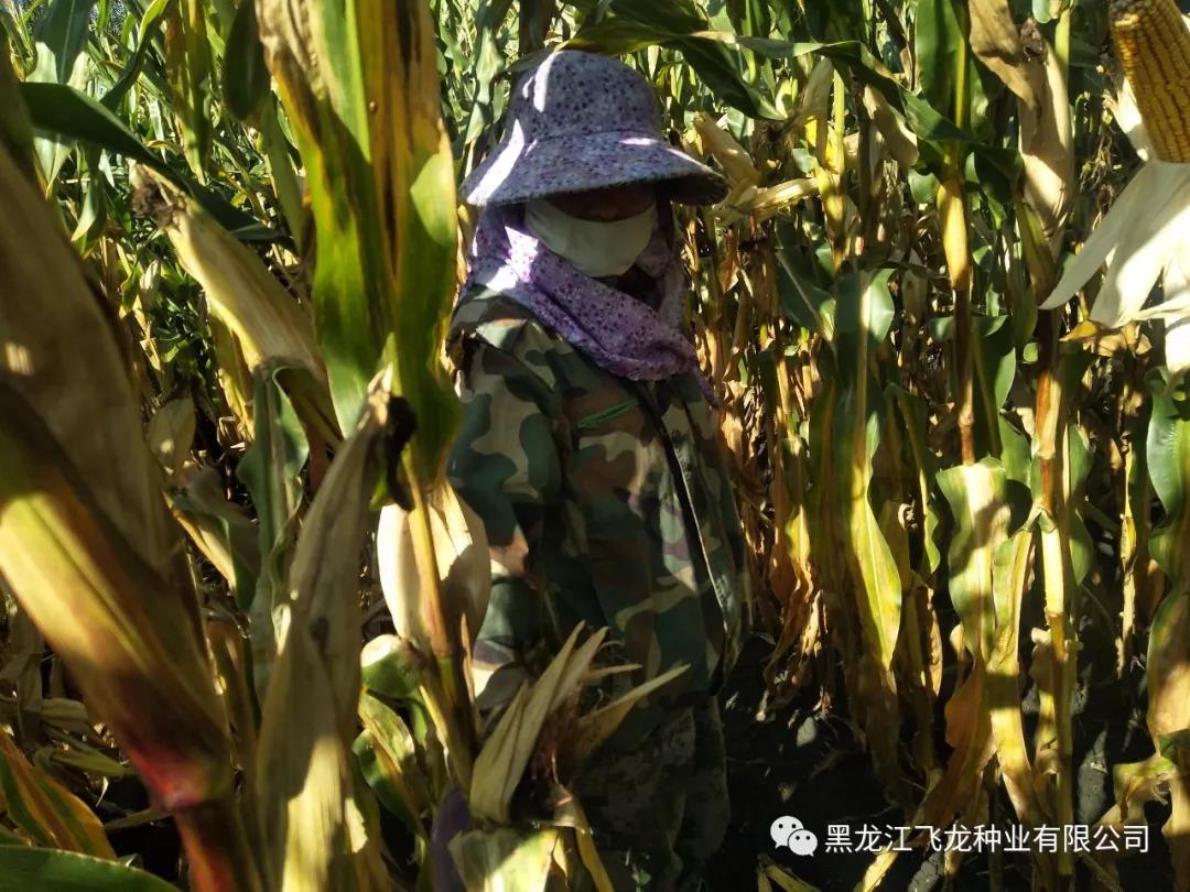 1640677702111809.jpg 8.jpg