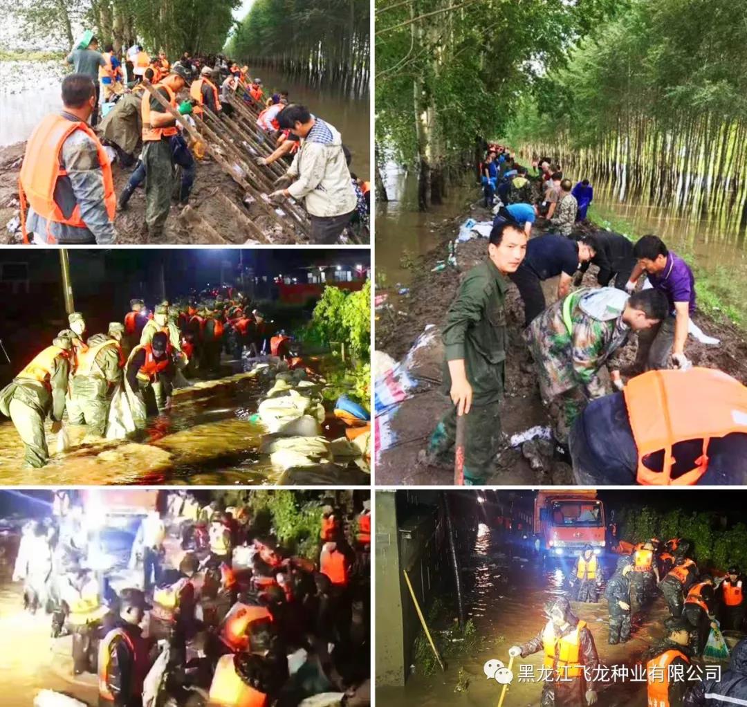 1640678763606403.jpg 2.jpg