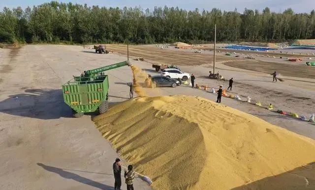 1646893249354538.jpg 3.jpg