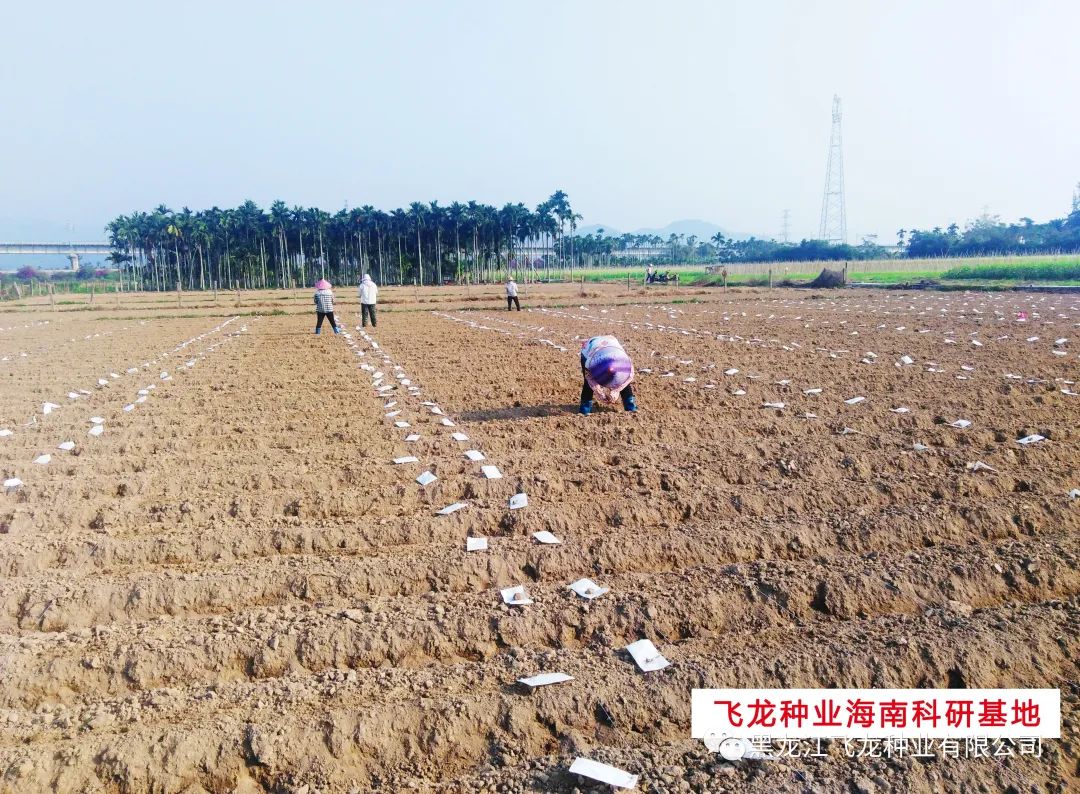 1658970468133045.jpg 1.jpg