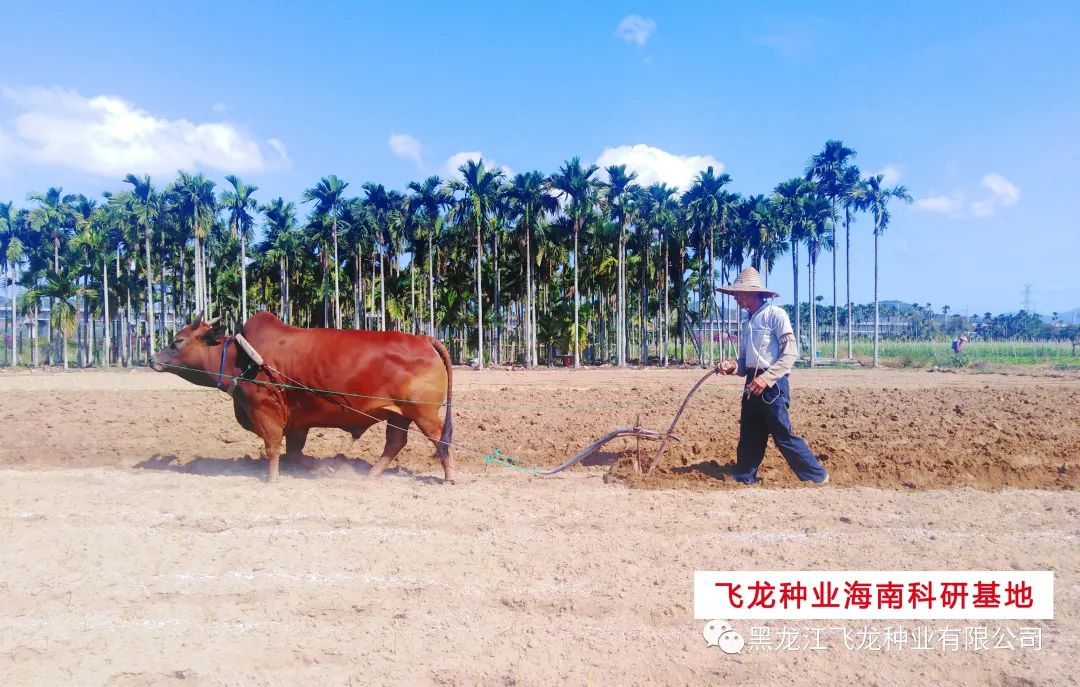 1658970473200054.jpg 2.jpg