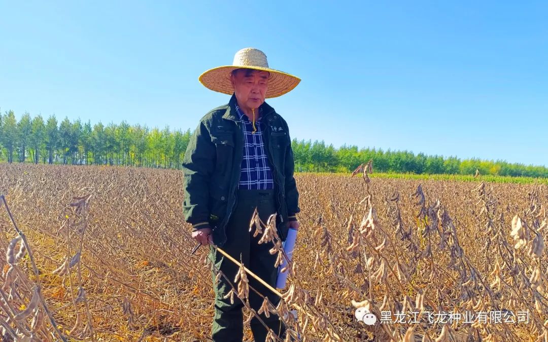 1673320900108427.jpg 1.jpg