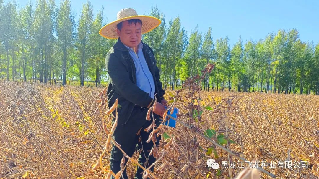 1673320919220279.jpg 3.jpg