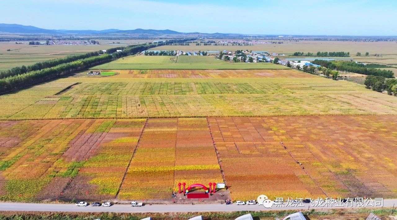 1695717152126689.jpg 1.jpg